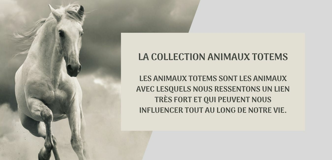 COLLECTION ANIMAUX TOTEMS